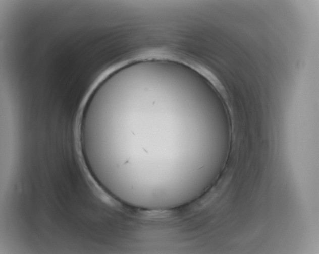X0000114071392200910051007