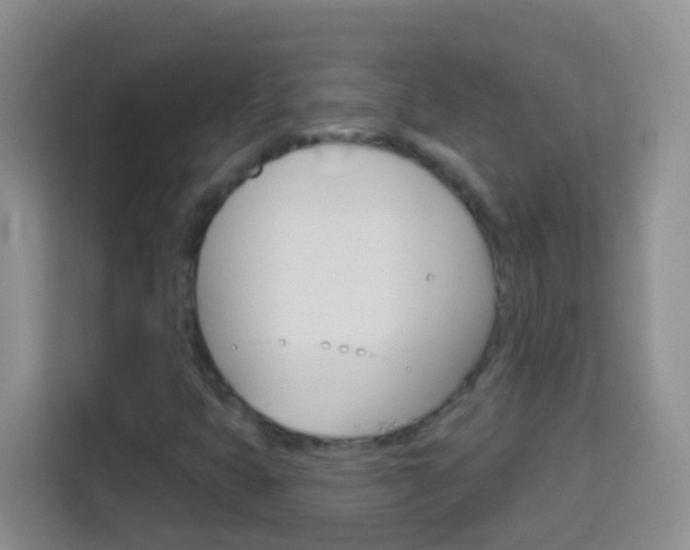 X0000114071399200910051006