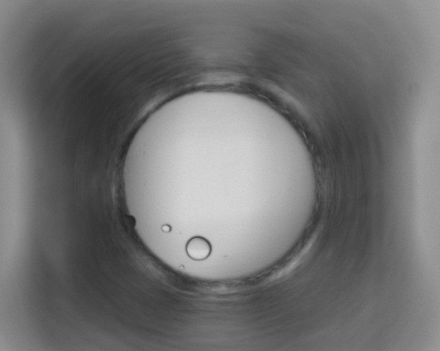 X0000114071401200910051006