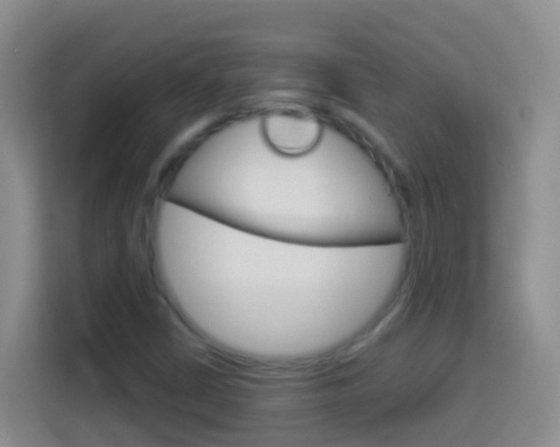 X0000114071402200910051006