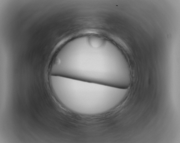 X0000114071404200910051006
