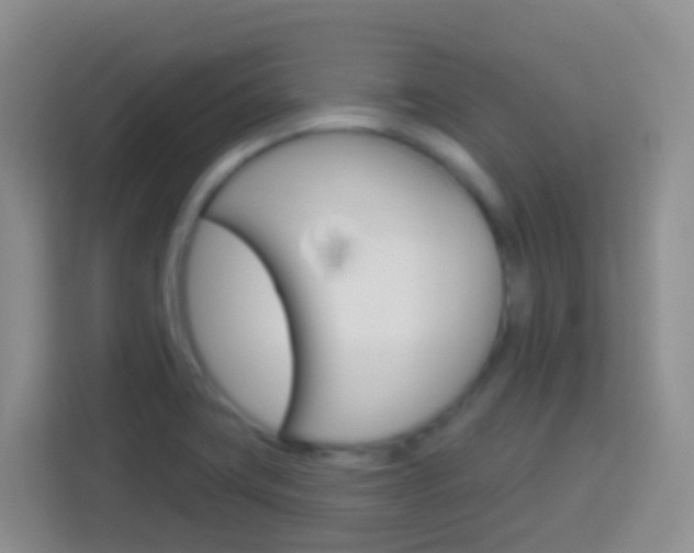 X0000114071419200910051006