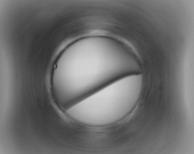 X0000114071422200910051006