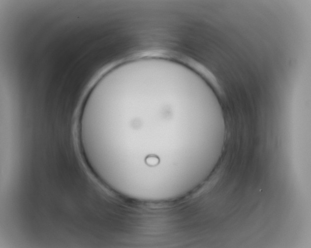 X0000114071423200910051006