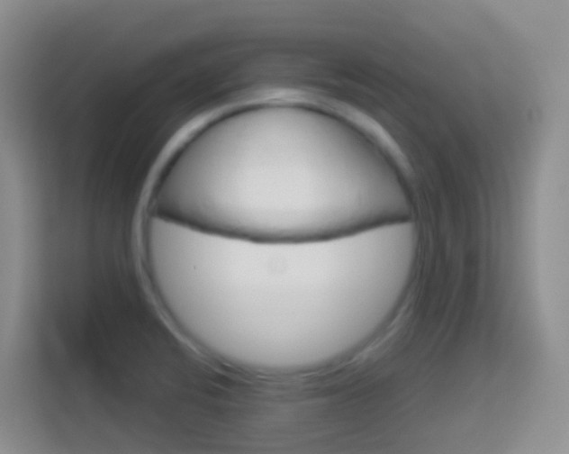 X0000114071424200910051006
