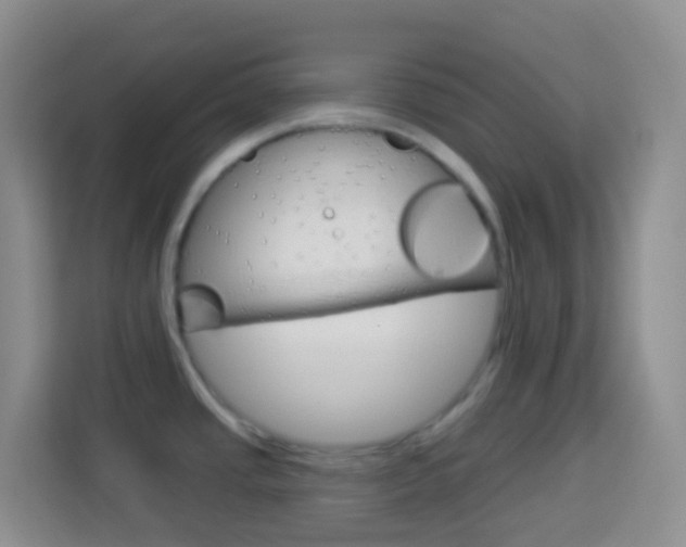 X0000114071437200910051006