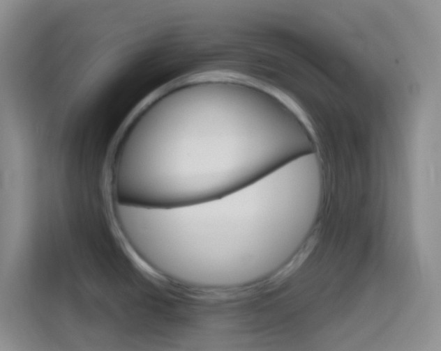 X0000114071438200910051006
