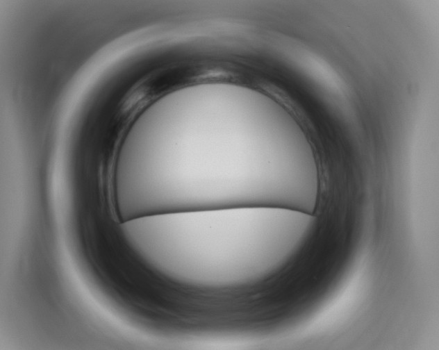 X0000114071439200910051006