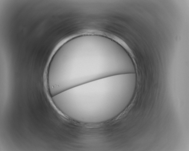 X0000114071440200910051006