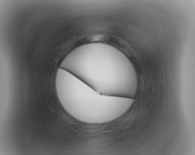 X0000114071442200910051006