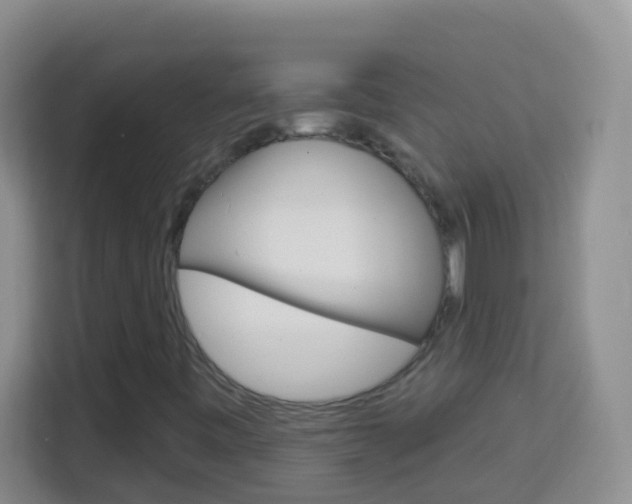 X0000114071443200910051006