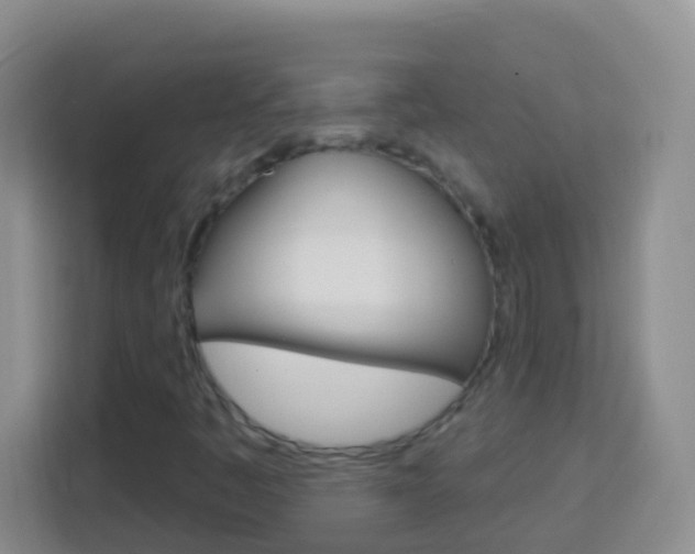 X0000114071445200910051006