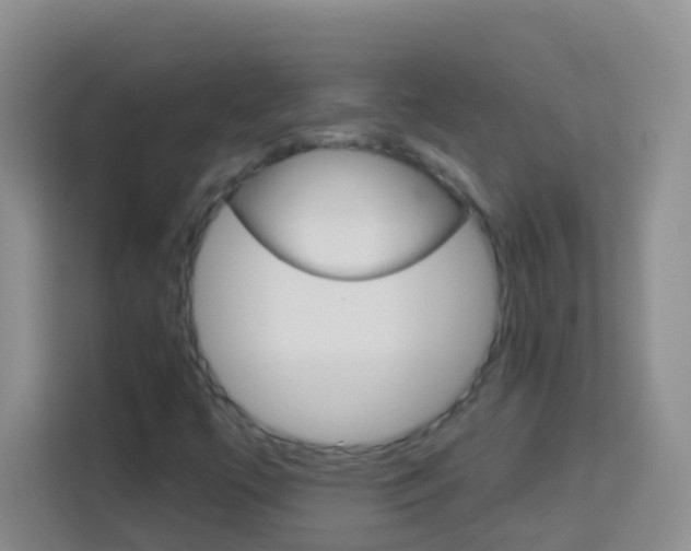 X0000114071447200910051006
