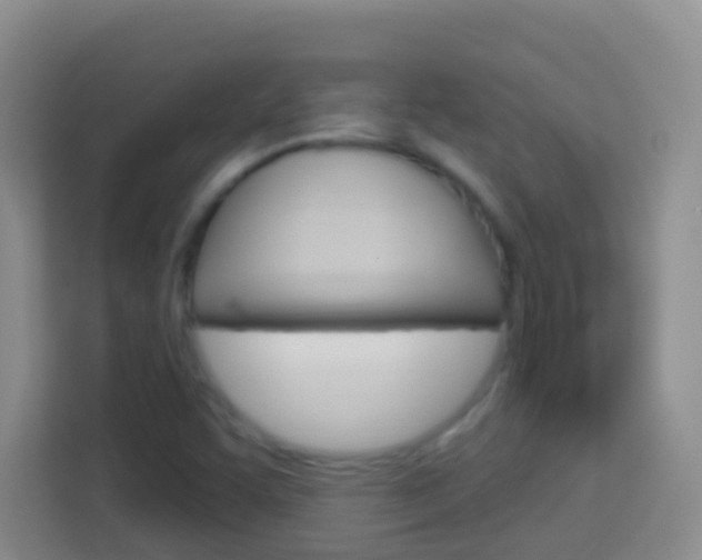 X0000114071455200910051006