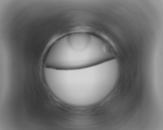 X0000114071459200910051006