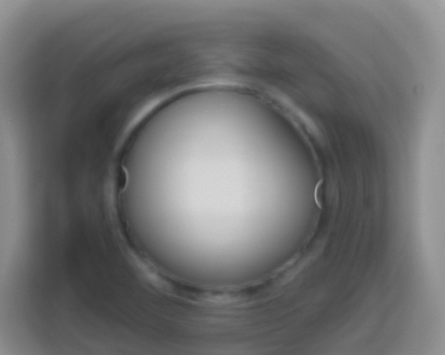 X0000114071460200910051006