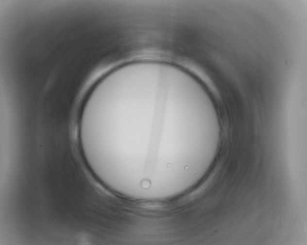 X0000114071462200910051006