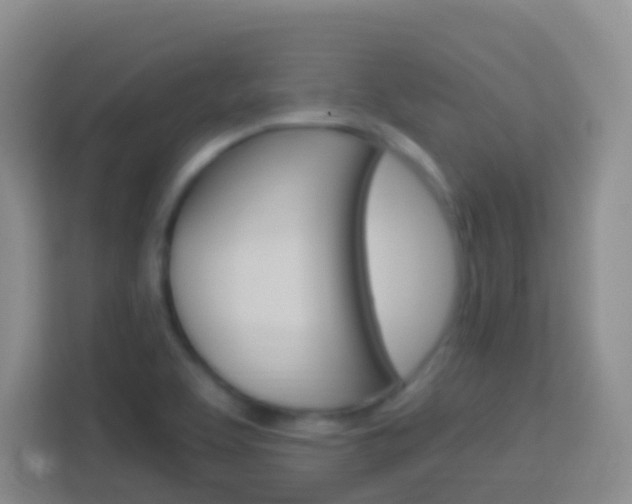 X0000114071463200910051006