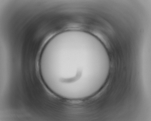 X0000114071466200910051006