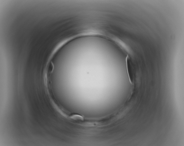 X0000114071468200910051006
