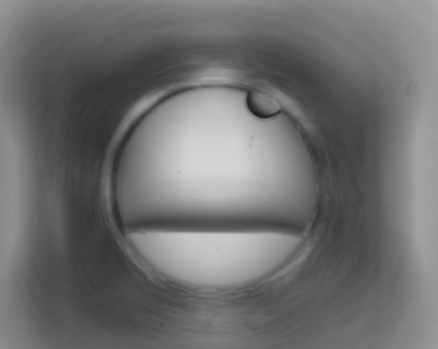 X0000114071469200910051006