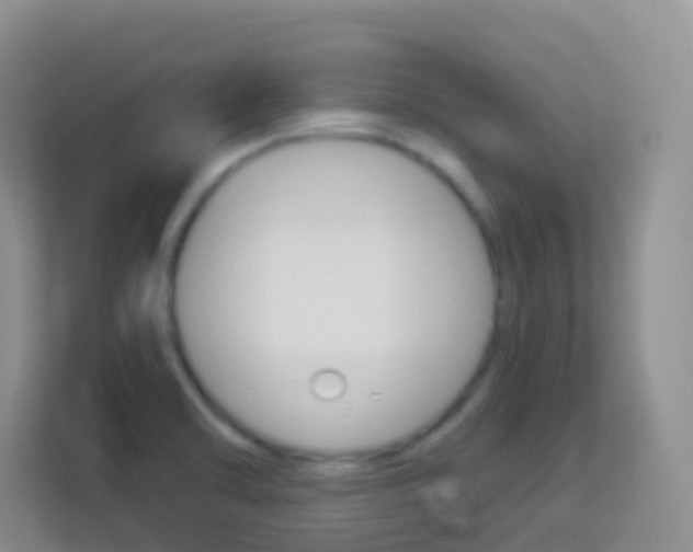 X0000114071470200910051006