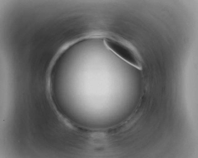 X0000114071472200910051005