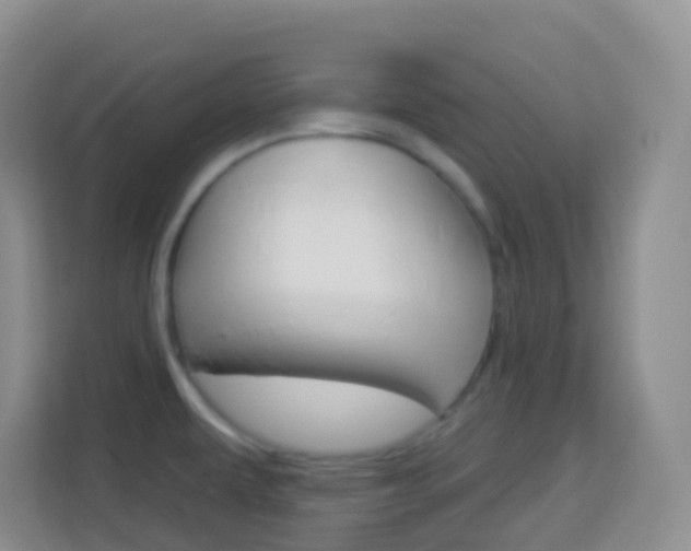 X0000114071479200910051005