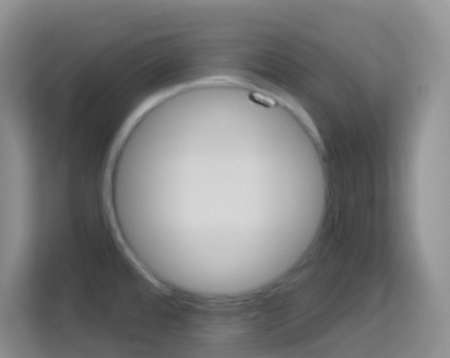 X0000114071480200910051005