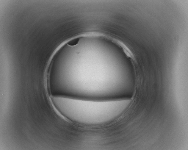 X0000114071484200910051005