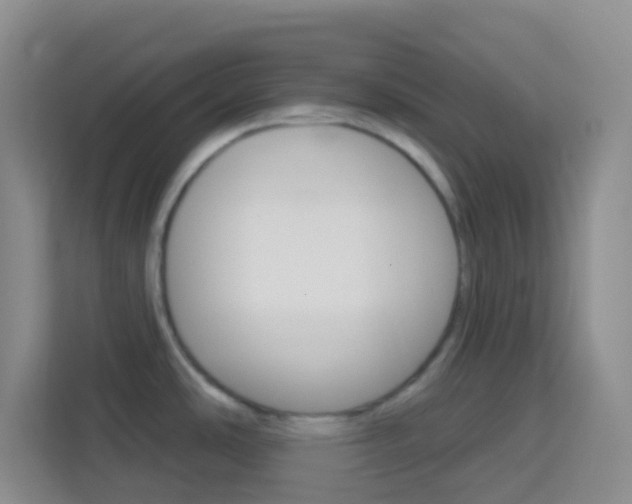 X0000114071486200910051005