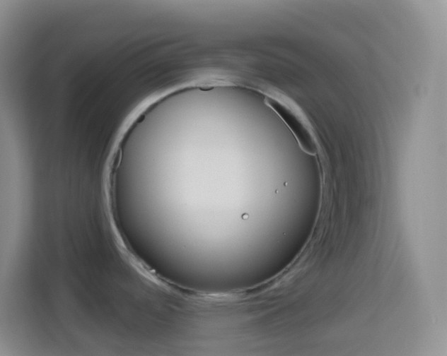 X0000114071488200910051005