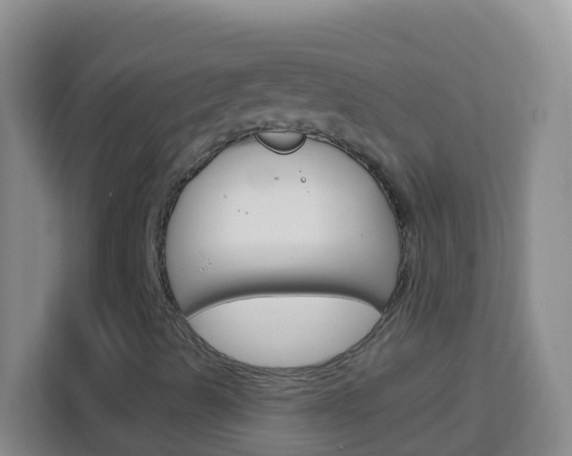 X0000114071489200910051005