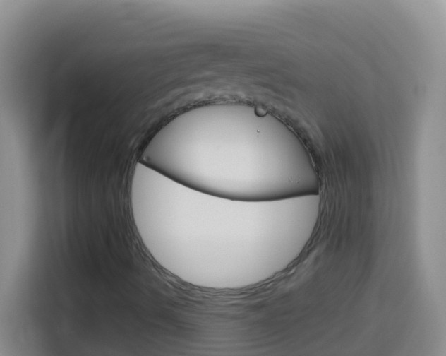 X0000114071490200910051005