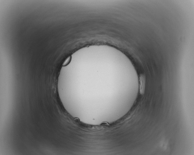 X0000114071491200910051005