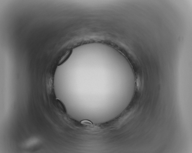 X0000114071492200910051005