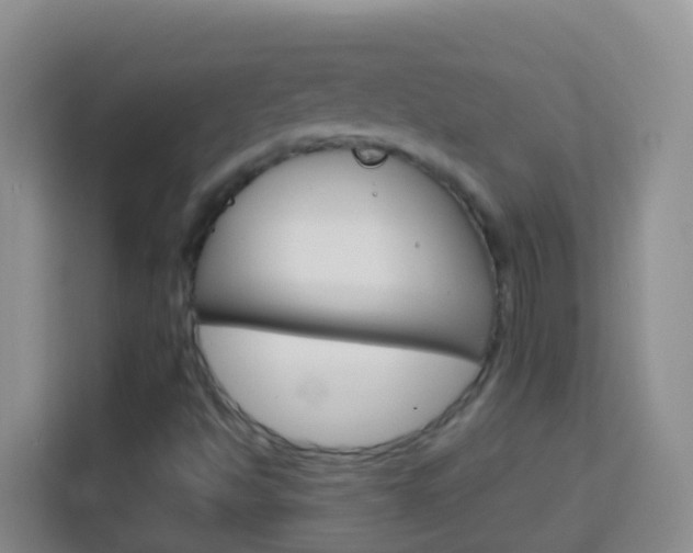 X0000114071494200910051005