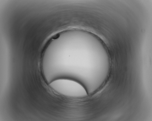 X0000114071499200910051005