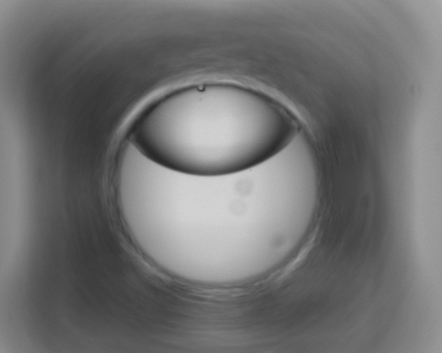X0000114071502200910051005