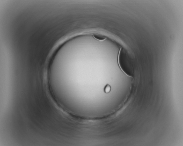 X0000114071506200910051005