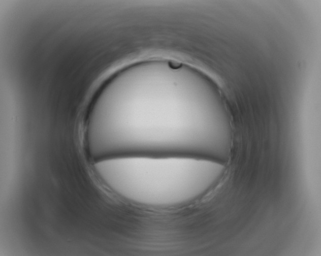 X0000114071507200910051005