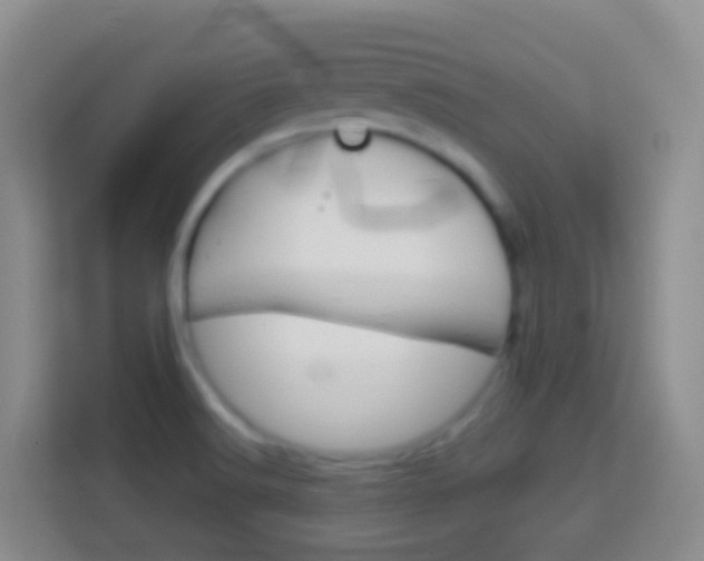 X0000114071516200910051005