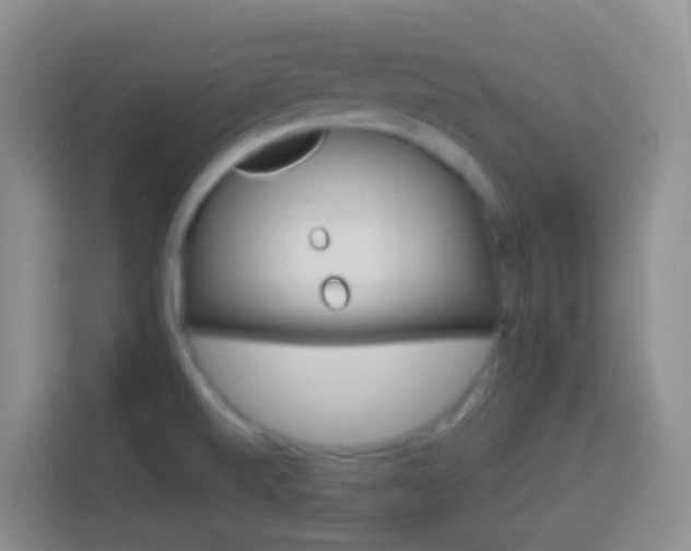 X0000114071520200910051005