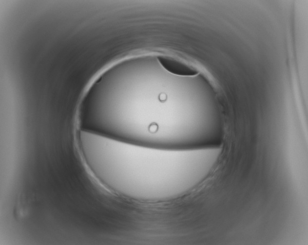 X0000114071524200910051005