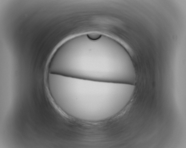 X0000114071526200910051005