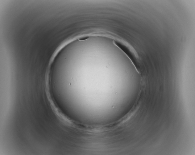 X0000114071530200910051005
