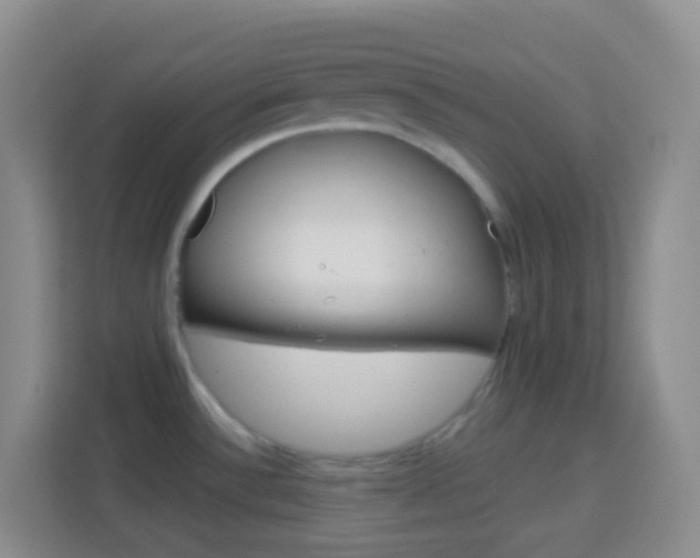 X0000114071532200910051005