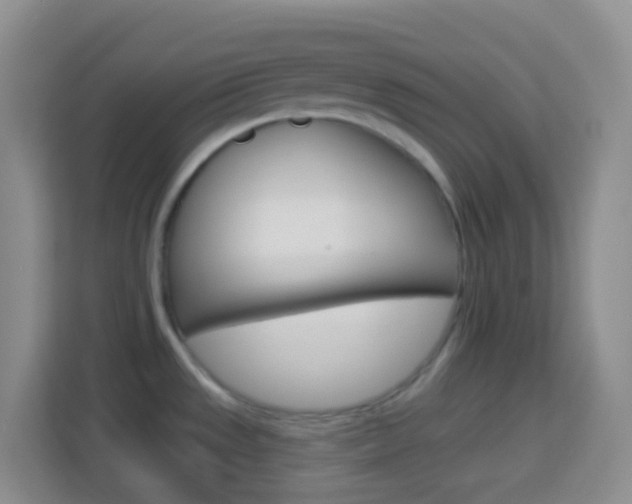 X0000114071533200910051005