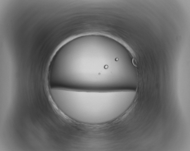 X0000114071534200910051005