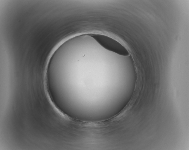 X0000114071536200910051005